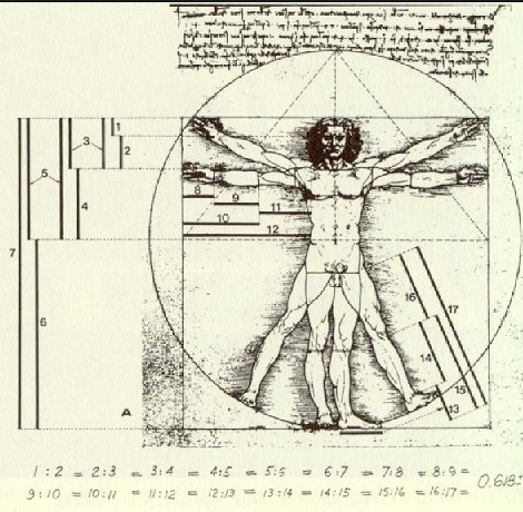 레오나르도-다빈치-인체의-황금비율-작도