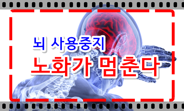  과도한 뇌 사용을 억제하면 노화를 늦출 수 있다?