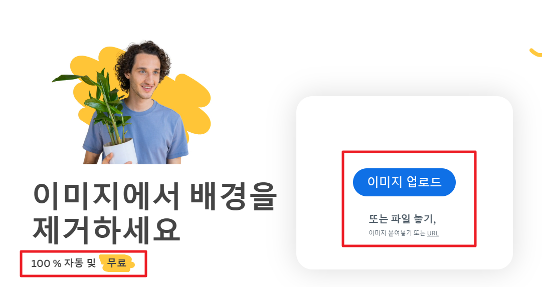 이미지에서 배경을 제거하세요