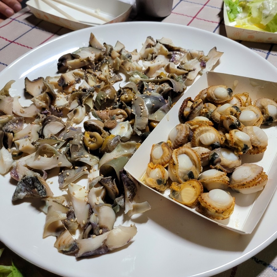소라 이미지