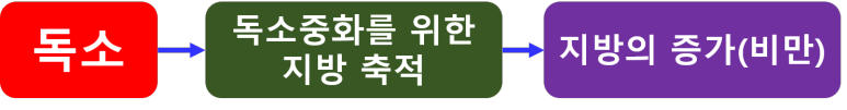 독소 중화를 위한 지방 축적
