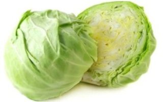 신장에 좋은 음식 10가지 10