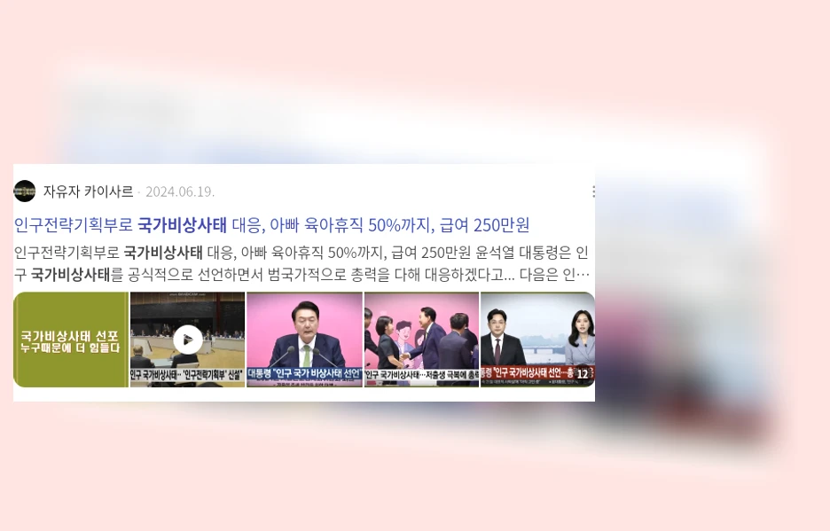 국가비상사태_2_subsection