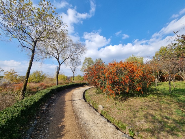 산책로