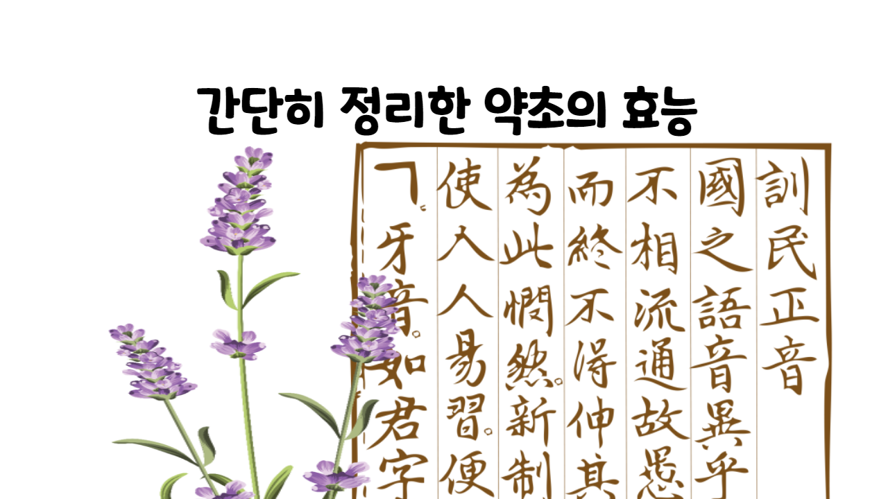  간단히 정리한 약초의 효능