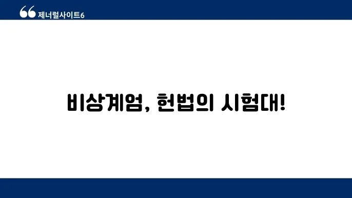 비상계엄 헌법소원 청구 법적 쟁점 총정리