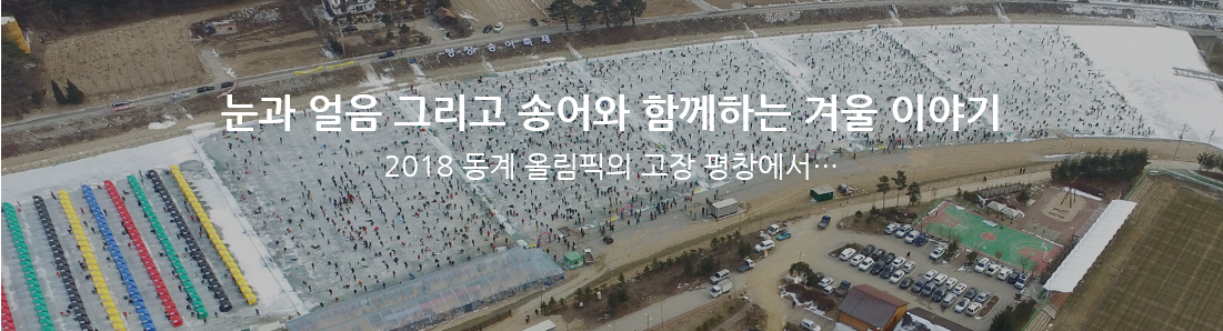  평창송어축제 텐트낚시 얼음낚시 황금송어 겨울축제