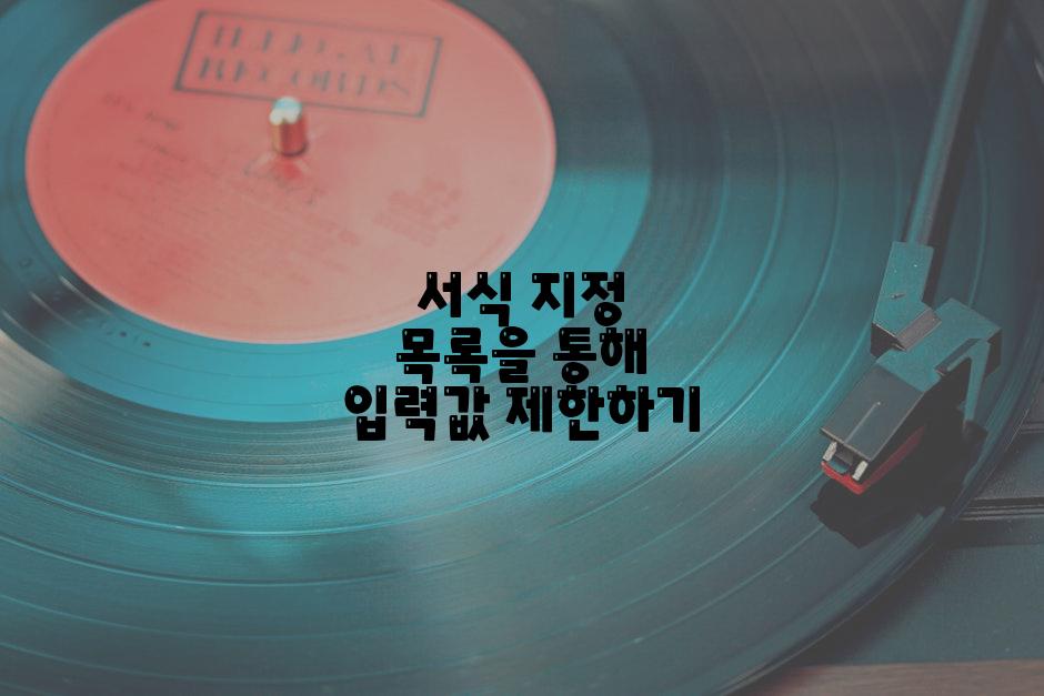 서식 지정 목록을 통해 입력값 제한하기