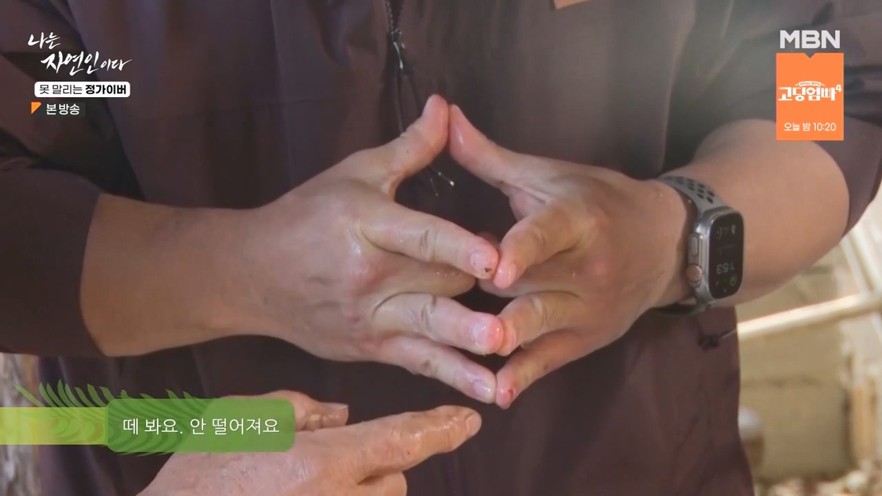 나는 자연인이다.E580.231116p-NEXT.mp4_20231116_200142.292.jpg