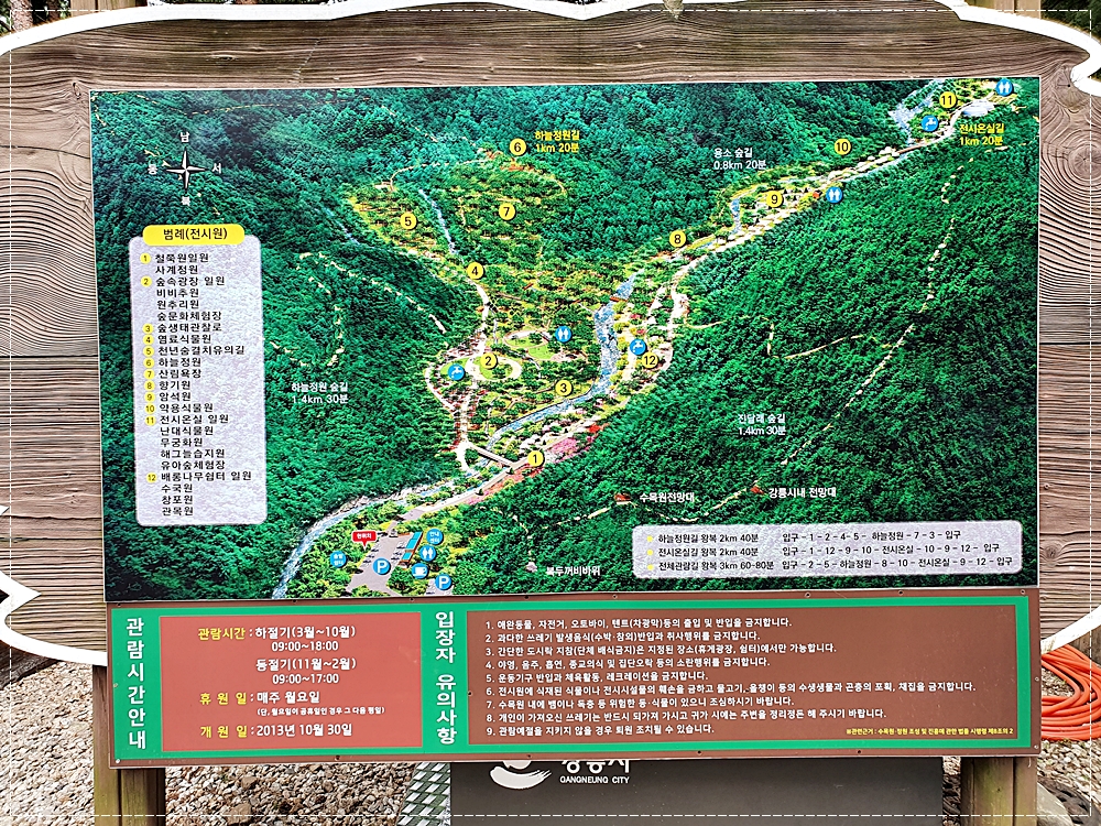 강릉솔향수목원-지도