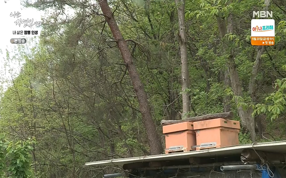 나는 자연인이다.E502.220519p-NEXT.mp4_20220519_182349.638.jpg