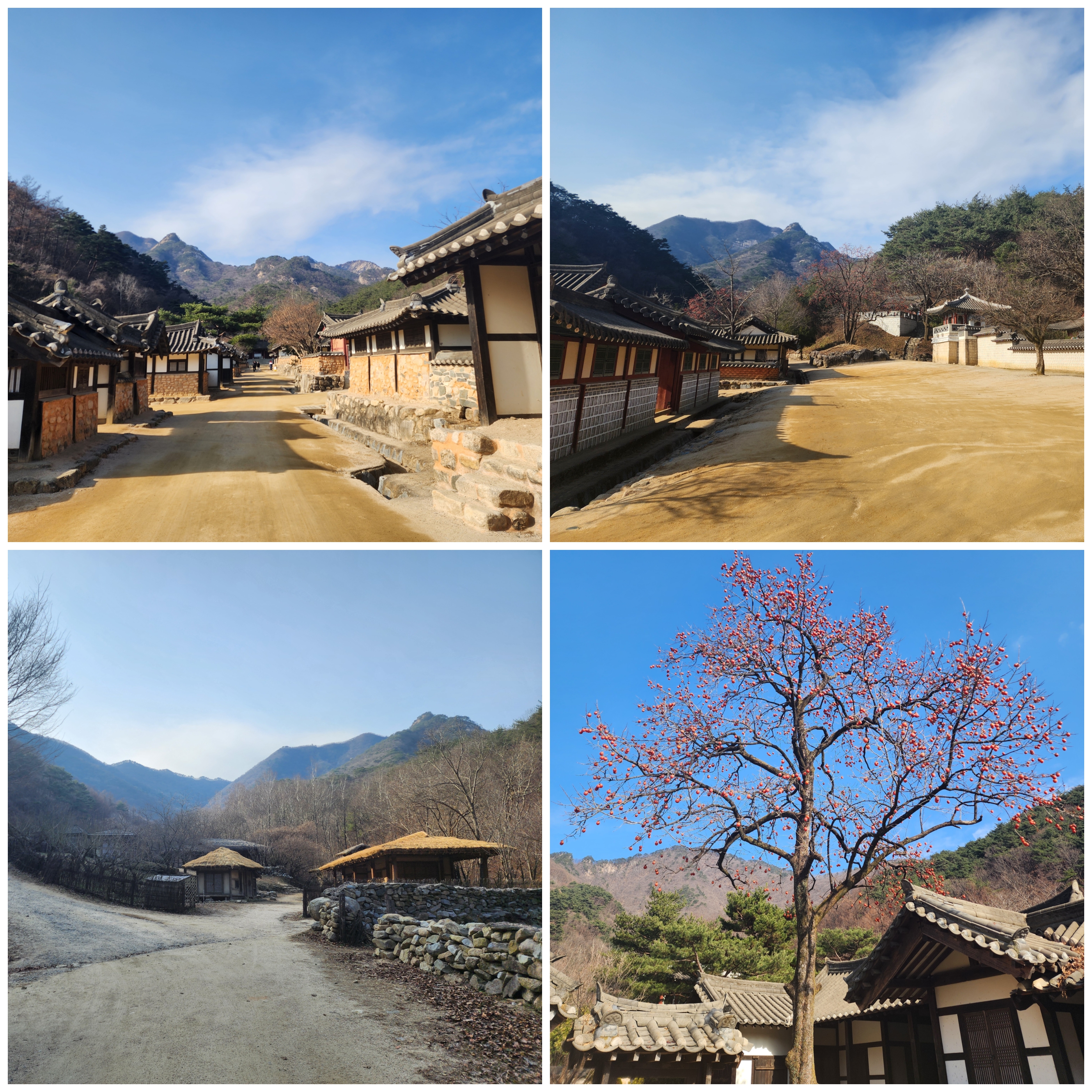 그로체 이미지