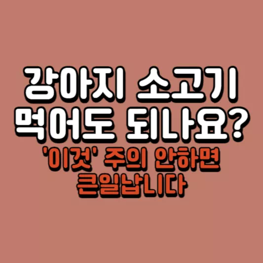 강아지-소고기
강아지-돼지고기
반려견-소고기
소고기
강아지-소고기-먹어도