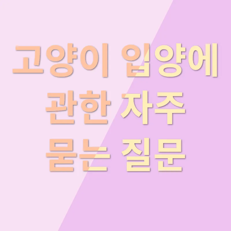 고양이 입양_4