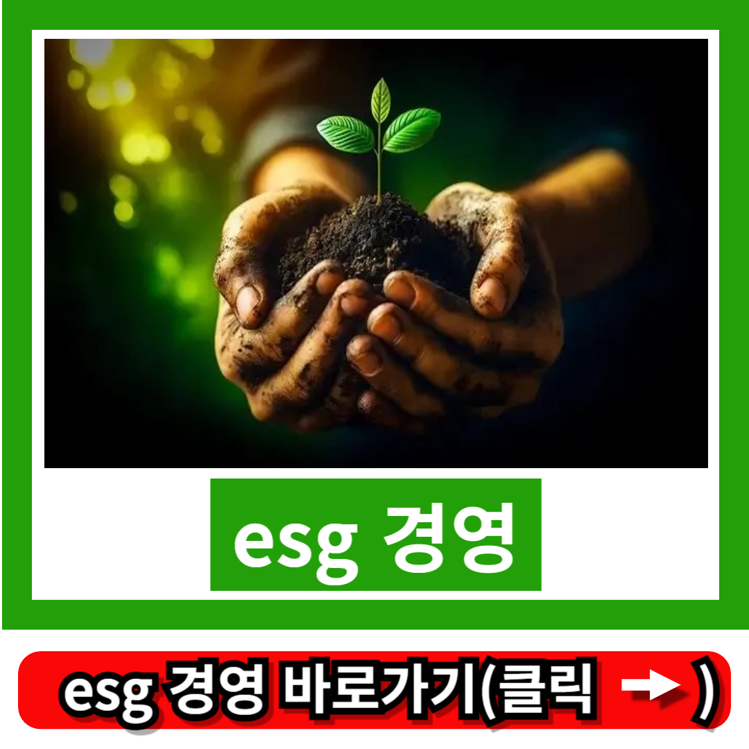 esg 경영