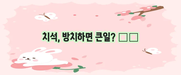 치석 제거하는법 치석제거기, 치약
