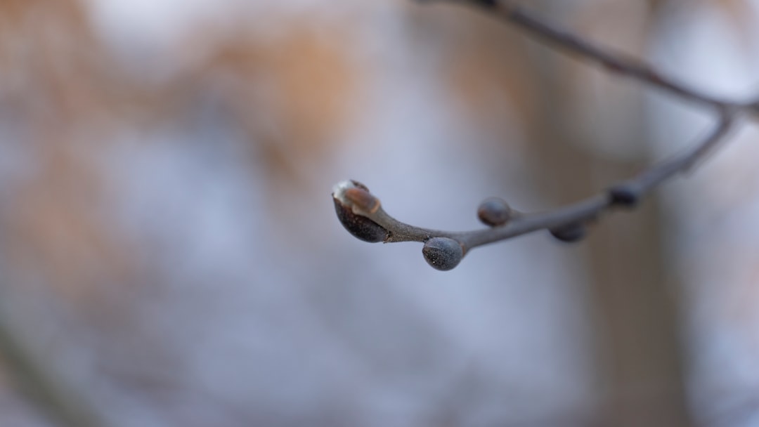 February