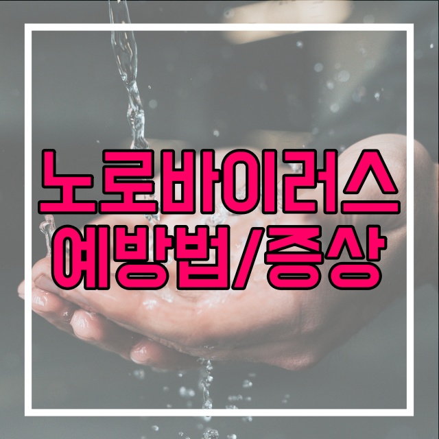  노로바이러스 예방법 식중독 원인 증상 치료방법  196번
