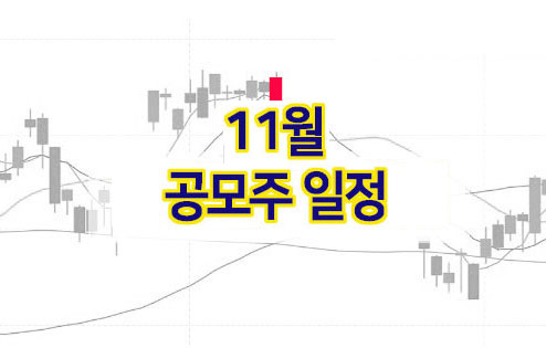 11월 공모주