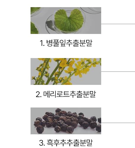 푸응 팻버닝 추출물 원료