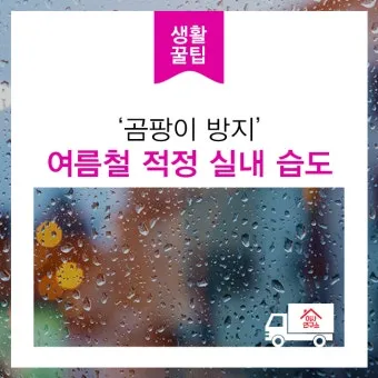 여름철 실내 적정 습도 완벽 관리 가이드_5