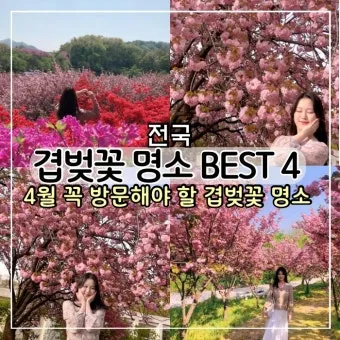 전국 겹벚꽃 명소 베스트 10 관광지_9