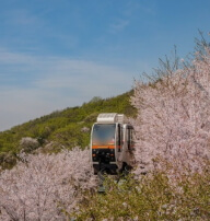 화담숲 예약방법