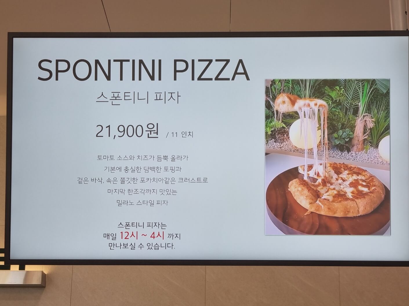 [인천 영종도] 애견동반 대형베이커리카페 그리너리바스켓 feat.애견펜션