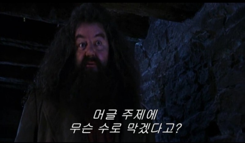머글머글 이미지