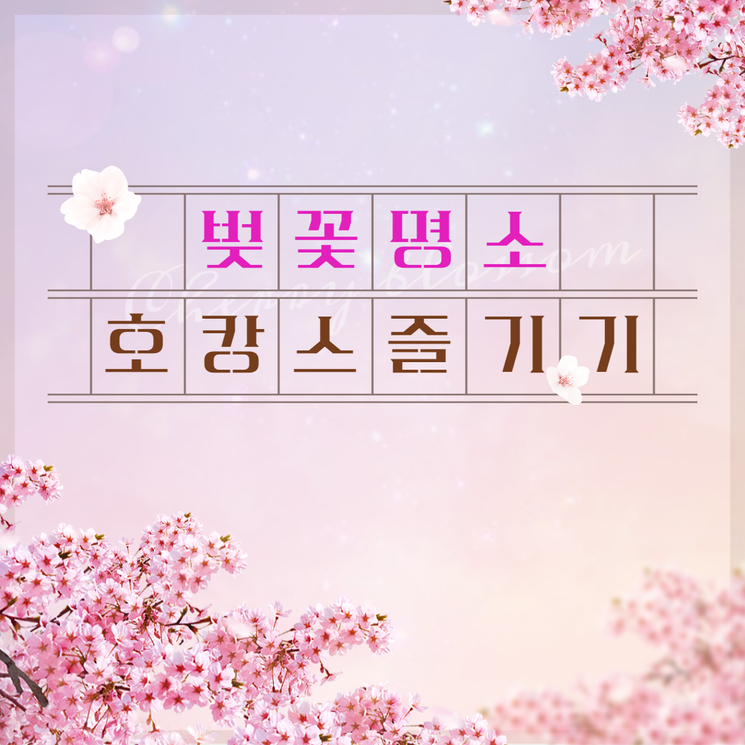  벚꽃이 예쁜 호텔에서 호캉스, 시그니엘 부산