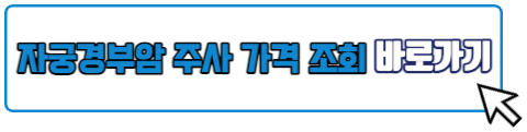 자궁경부암 예방접종 주사 가격 저렴한 곳 찾기