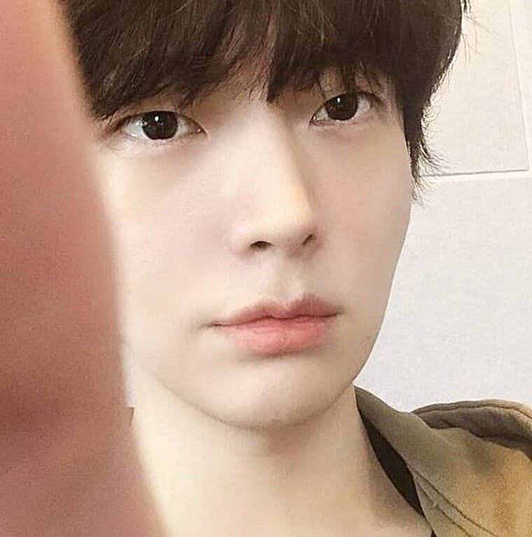 배우-안재현