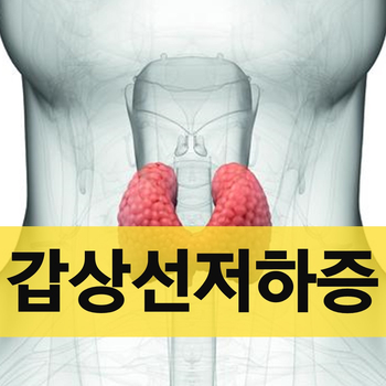 / 갑상선, 갑상선 호르몬 갑상선 기능 저하증의 원인, 증상