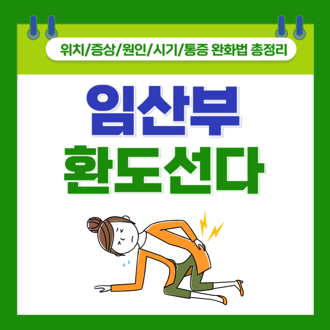  [임산부 환도선다] 위치/증상/원인/시기/통증 완화법 총정리