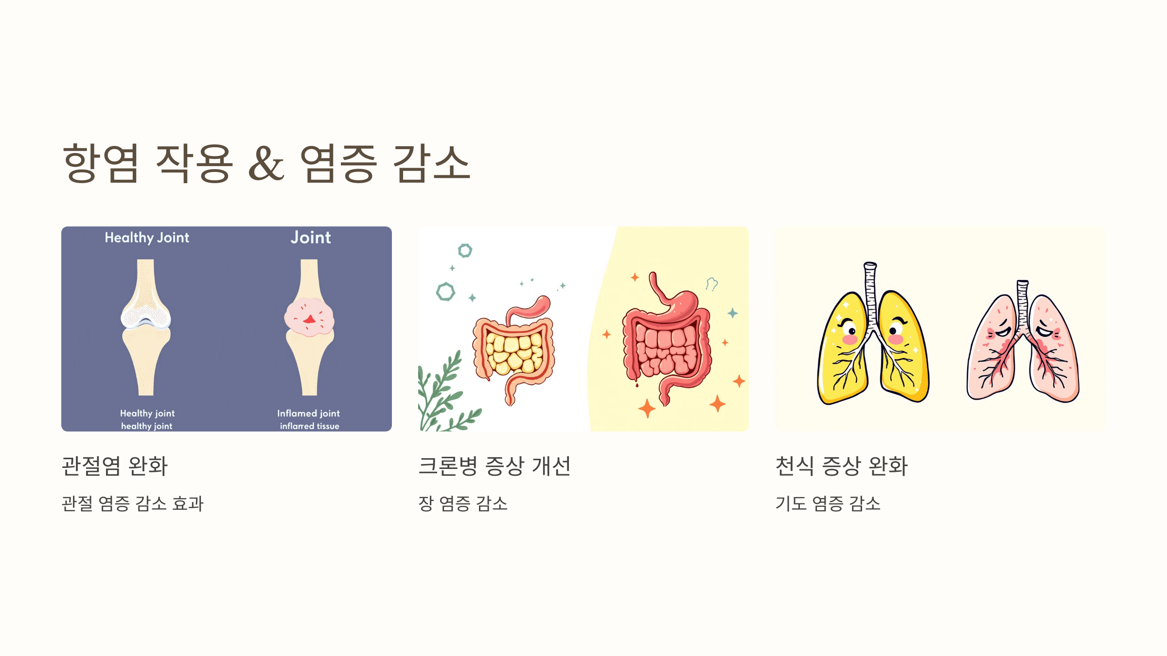 비타민D와 관련된 사진입니다.