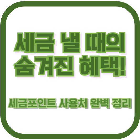 세금 낼 때의 숨겨진 혜택! 세금포인트 사용처 완벽 정리