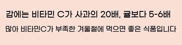  감에는 비타민 C가 사과의 20배, 귤보다 5-6배 많아 비타민C가 부족한 겨울철에 먹으면 좋은 식품입니다