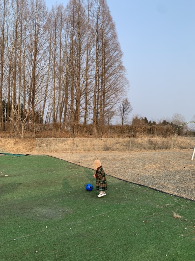 정현딸기농장, 8