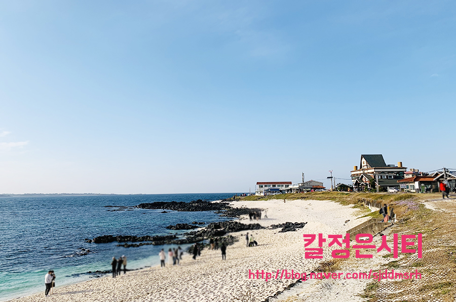 우도여행 알찬 1시간ㅋㅋ 5