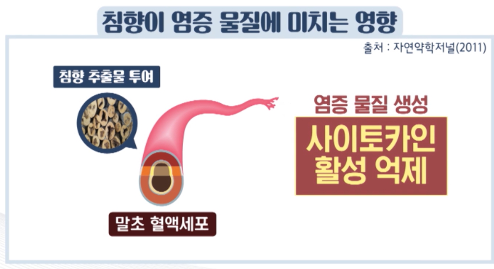 침향환의 효능