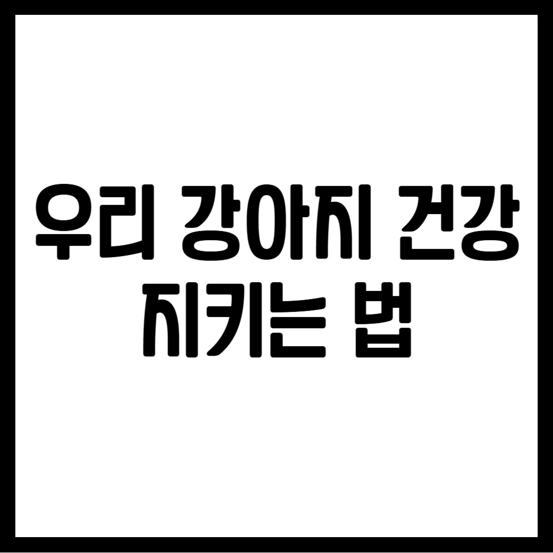 우리 강아지 건강 지키는 법