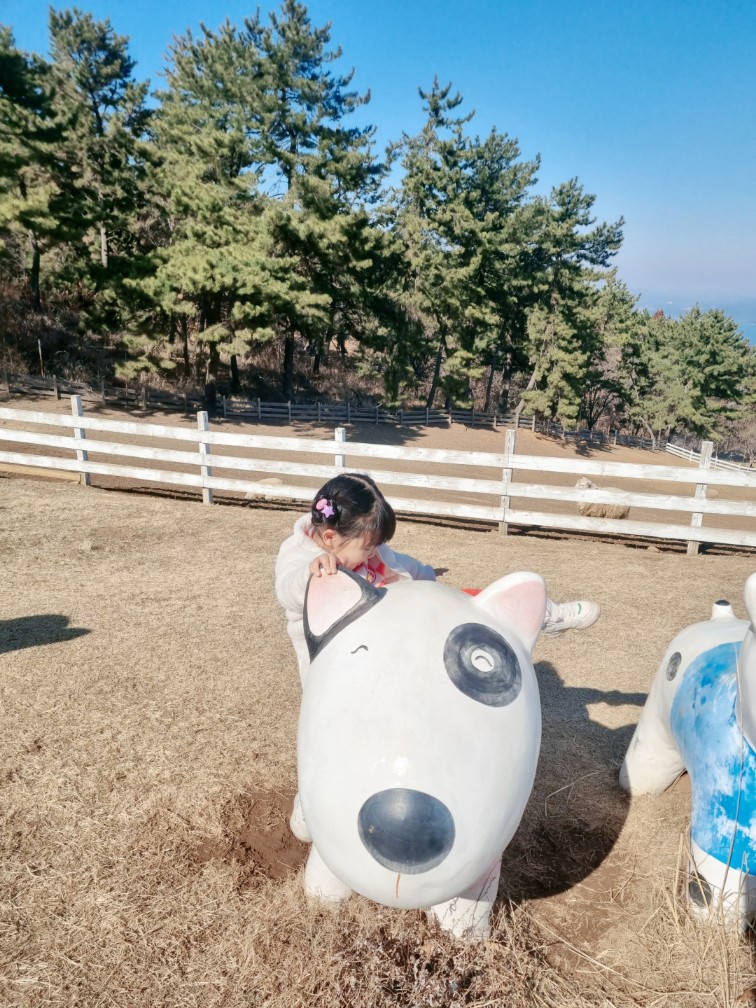 남해여행 양모리