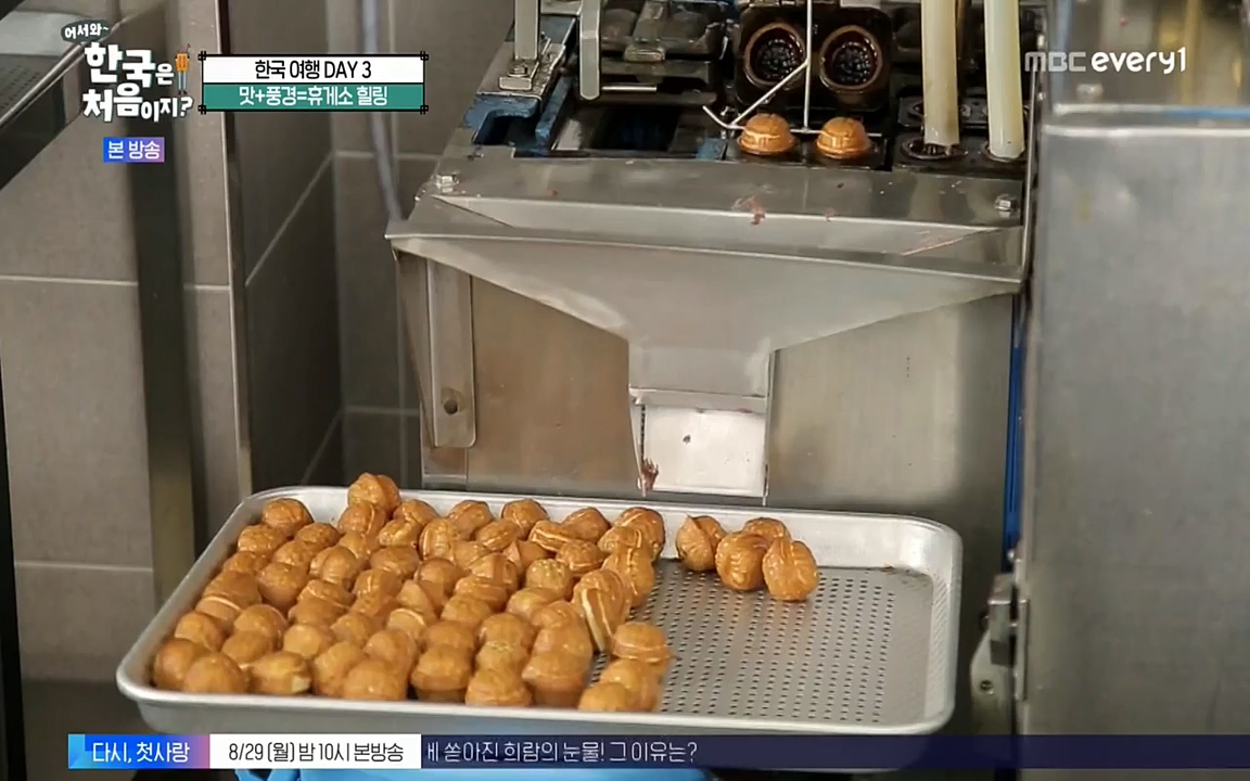 어서와 한국은 처음이지 시즌2.E225.220826p-NEXT.mp4_20220826_171804.118.jpg