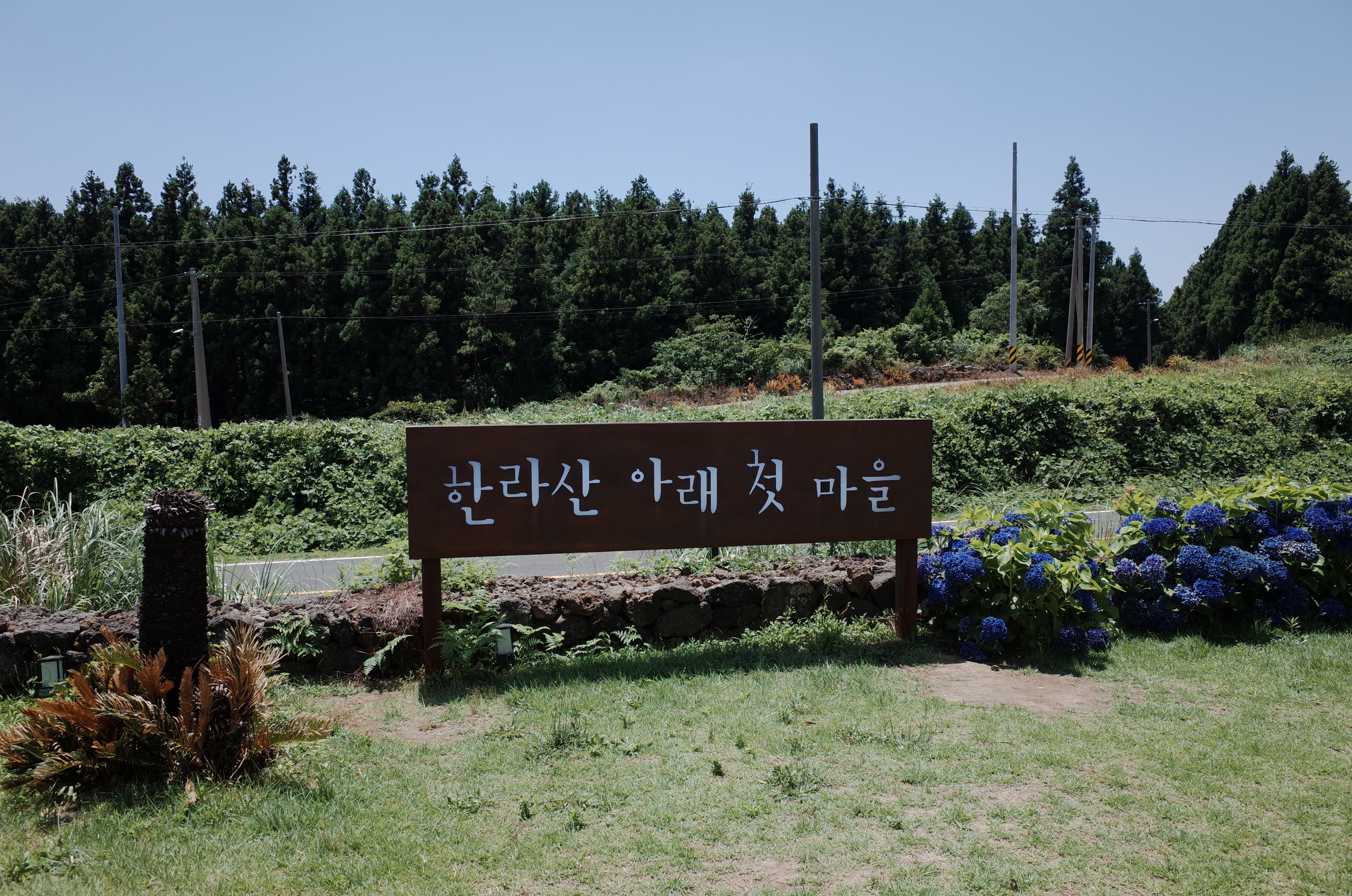 한라산아래첫마을_식당_앞에_있는_잔디밭에_나무로_된_입간판이_세워져있다