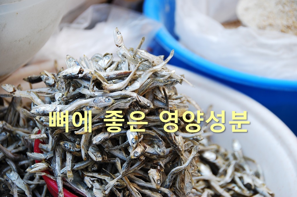  관절과 뼈에 좋은 영양 성분