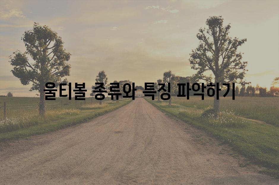 울티볼 종류와 특징 파악하기