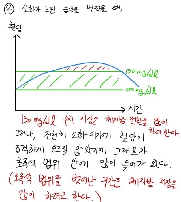 혈당이 천천히 오를 때: 식 후 소화가 느린 음식