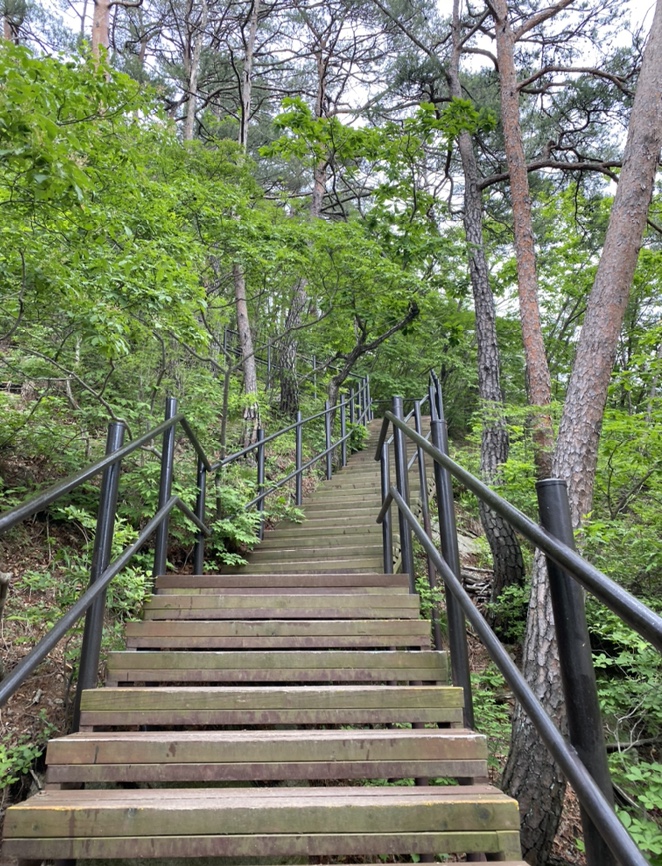 여름산으로 추천하는 괴산 칠보산(778m) 숲속을 거니는 듯 시원해 53
