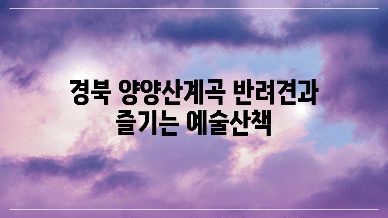 경북 양양산계곡 반려견과 즐기는 예술산책