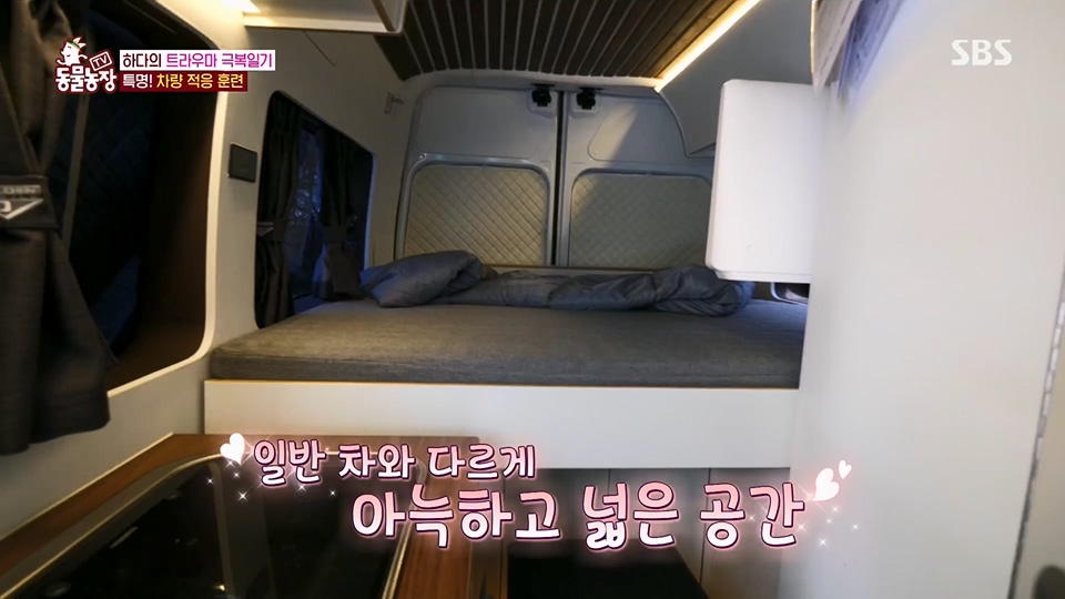 TV 동물농장.E1125.230618p.H264-F1RST.mp4_20230618_192128.878.jpg